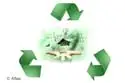 Formal Training in Sustainability, ISO 14001, Continuous Process Improvement, and Lean Six Sigma