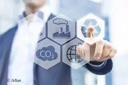 Sustainability Consultants Create Sustainable Business Policies