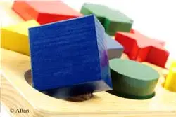 Sustainable Life Cycle Management Policies Designed to Fit Your Business